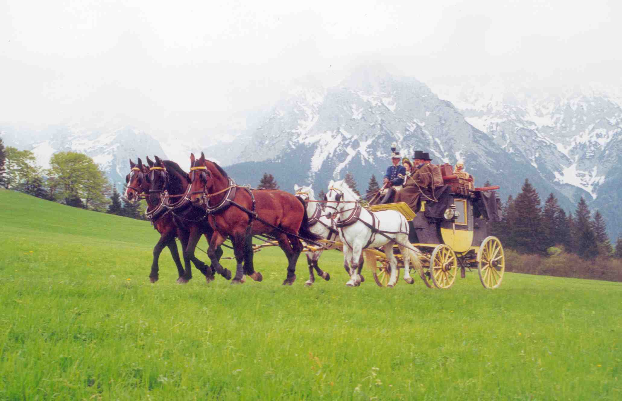 Platzhalter-Bild