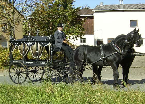 Leichenwagen 2-spännig Leichenwagen 2-spännig